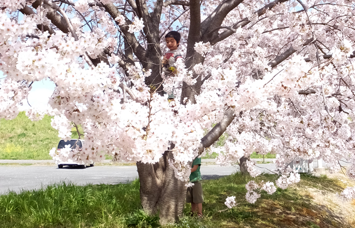 dscf1517.jpg