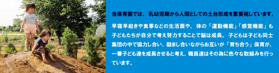 82c782f182ae82e8001.jpg