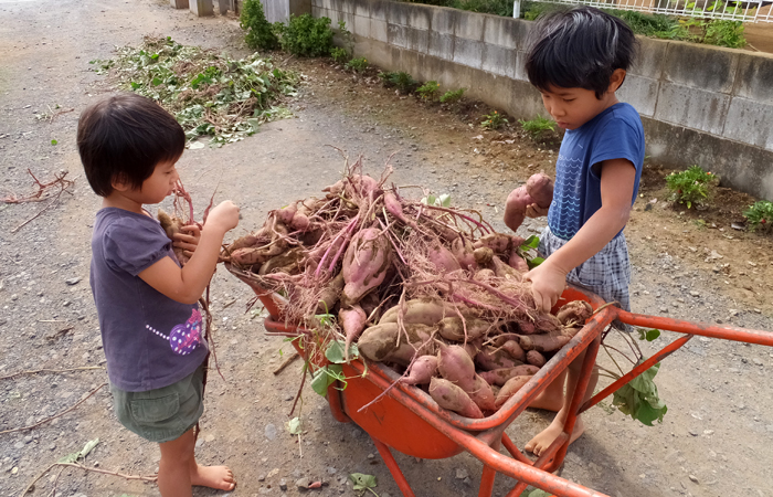 dscf2638.jpg