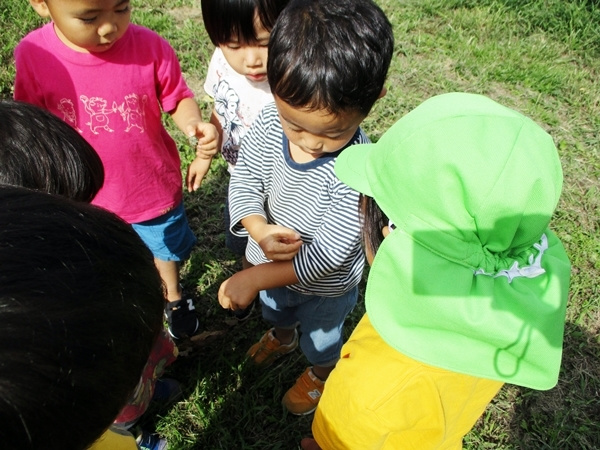 img202110251141163732987b9a.jpg