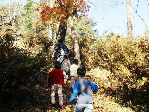 img202110251141089925397b9a.jpg