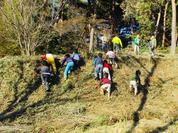 img202110251141090118627b9a.jpg