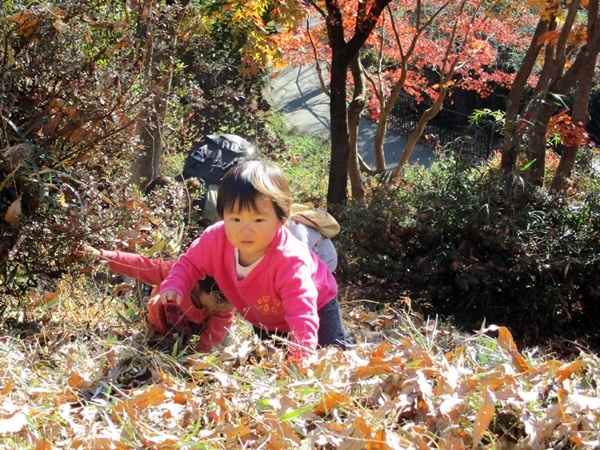 img202110251141083940137b9a.jpg