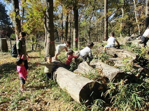 img202110251141081968937b9a.jpg