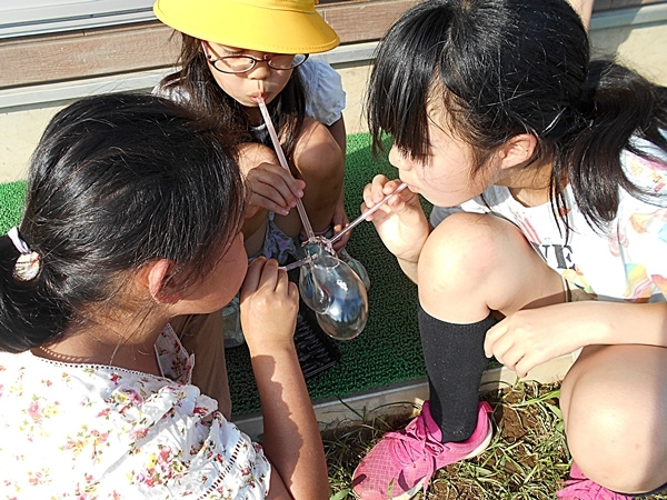 img20211025200201550689.jpg