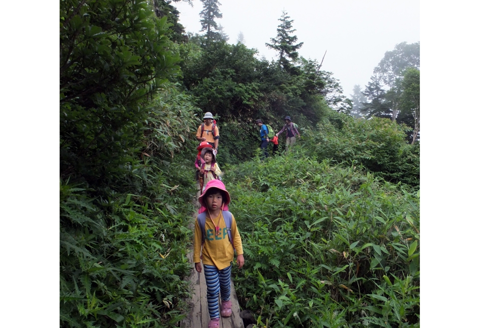 167b9a.jpg